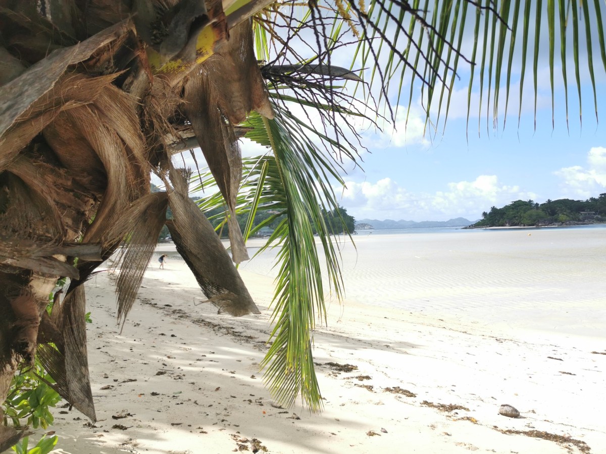 Seychelles… paradise awaits